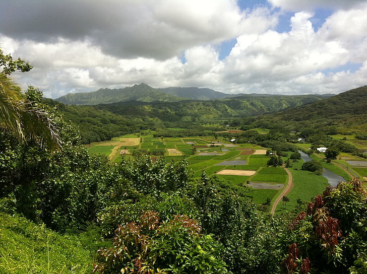 Havaj, farmy, krajina, zemědělství, Tropical, Hawaiian, malebný