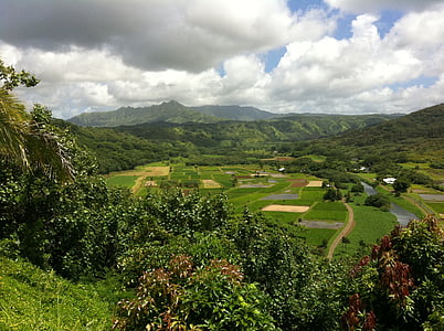 Hawaii, gårdar, landskap, jordbruk, Tropical, Hawaiian, natursköna