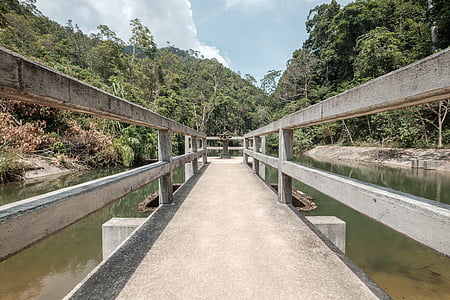 Architektūra, tiltas, miško, žalia, rekomendacijos, ežeras, kraštovaizdžio