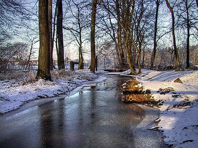 winter, snow, bach, grove, mirroring, water, black forest
