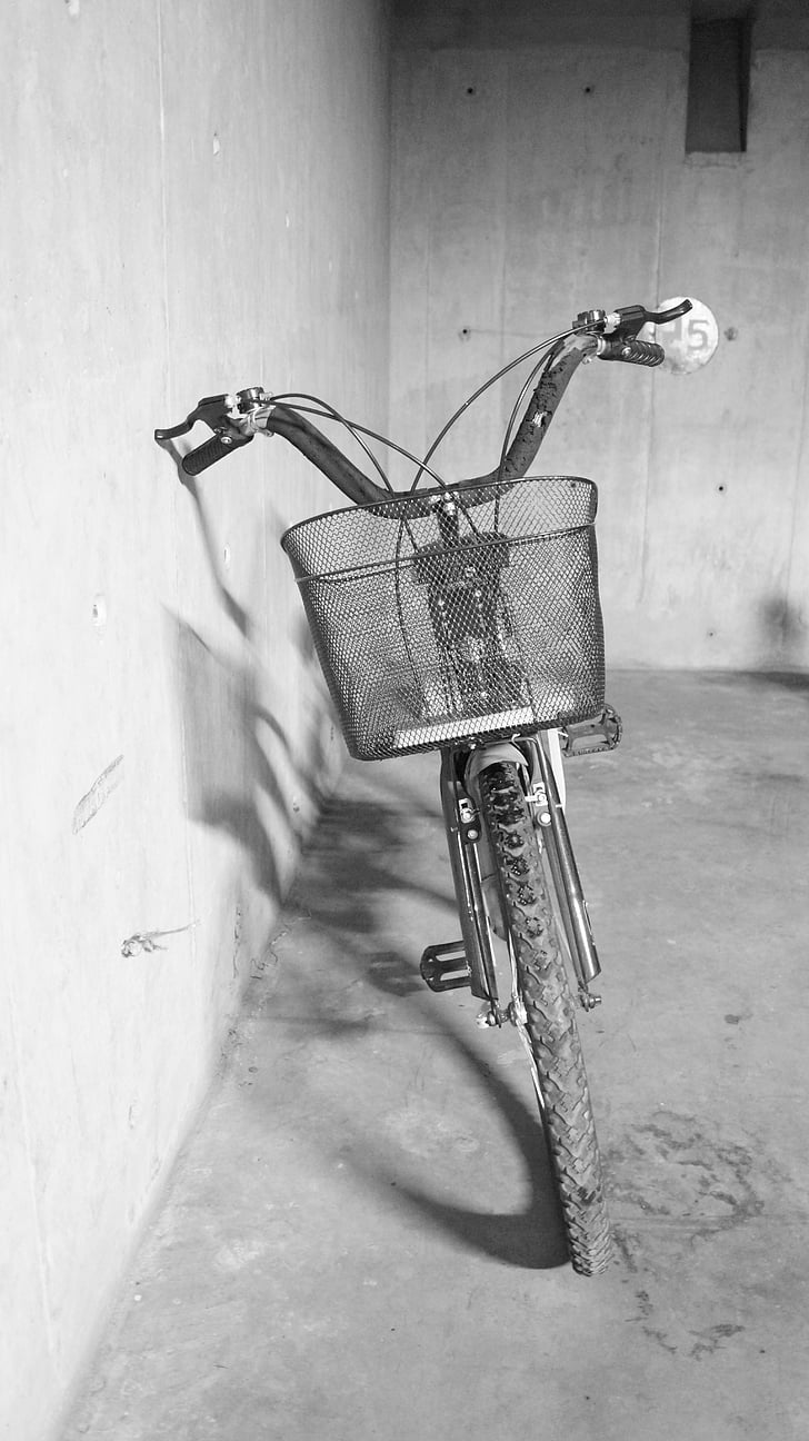 bicycle, traveller, transport