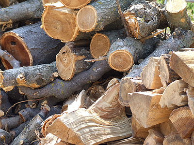 árbol, material, madera, tronco de árbol, naturaleza, textura, tronco