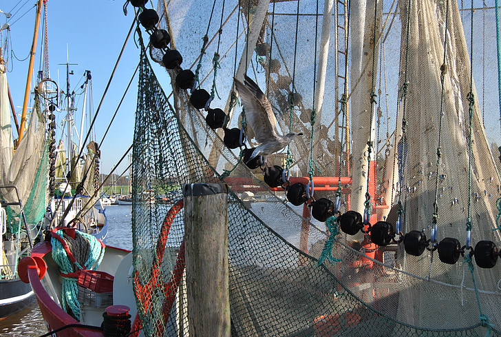 fishing boat, networks, seagull, sea, fishing net, north sea, dry nets