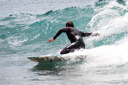 surf, desporto, praia, surf, placa, prancha de surf, água