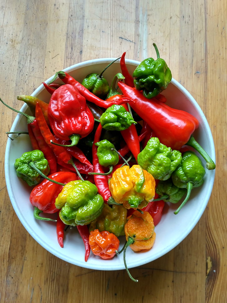 spicy peppers, habanero, red scorpion, hot pepper, food and drink, vegetable, freshness