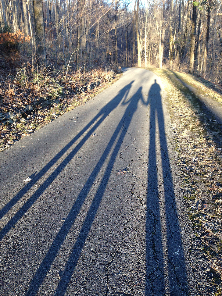 shadow, family, parent, child, road, nature, forest