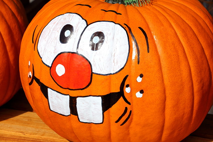 pumpkin, thanksgiving, autumn, decoration, gourd, autumn decoration, halloween