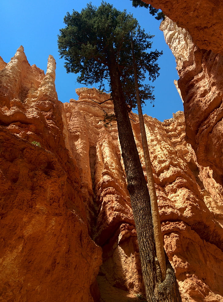 Bryce canyon, slikovit, nacionalne, putovanja, Utah, parka, Sjedinjene Američke Države