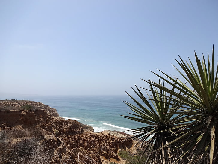 Océano, mar, Pen # asco, Palma, California, Costa, San diego