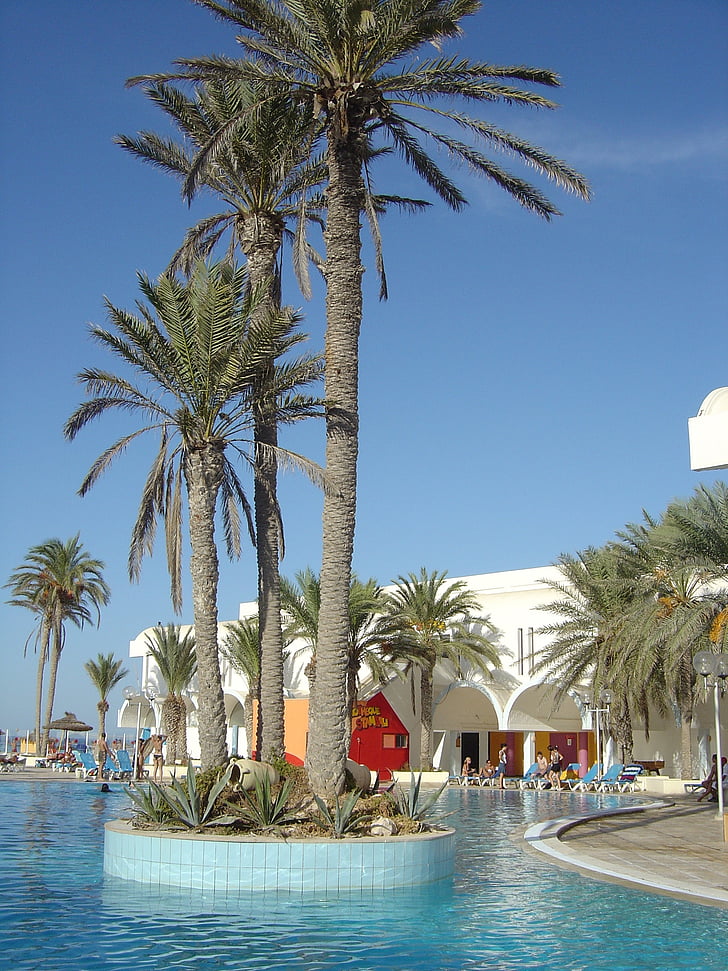 Tunísia, Hotel, Palm