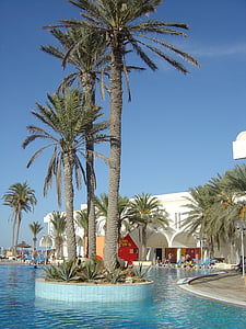 Tunisko, Hotel, Palm