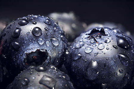 berries, blueberries, close-up, dew, droplets, drops, food
