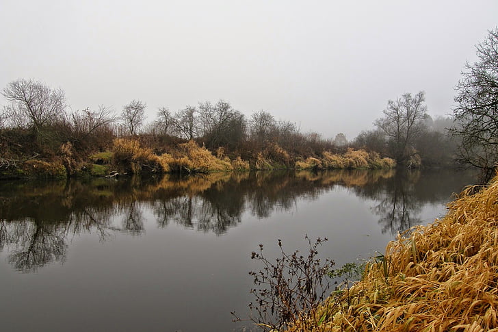 Fluss, Herbst, Landschaft, Wasser, Spiegelbild im Wasser, Herbst am Fluss, ruhigen Fluss