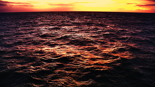 새벽, 황혼, 수평선, 자연, 바다, 바다, 스카이