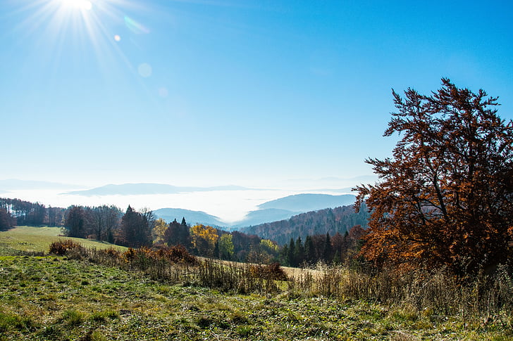 montagne, autunno, Panorama, paesaggio, Beschidi, cielo, vista