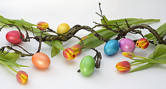 egg, color, cooked, easter, decoration, tulips, flowers