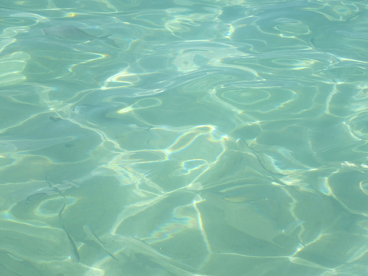 vode, oceana, jasno, bazen, plivati, tijekom, plava