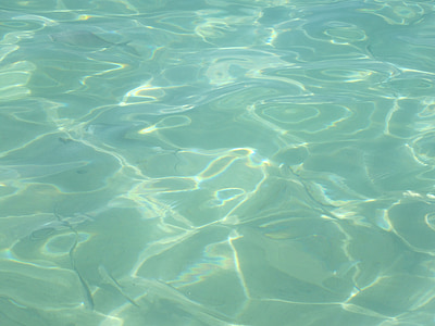 eau, océan, claire, piscine, nager, piscine, bleu