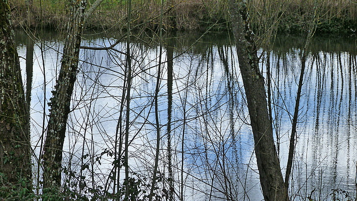 Landschaften, Natur, Wasser, Teich, Winter, Reflexionen, Bäume