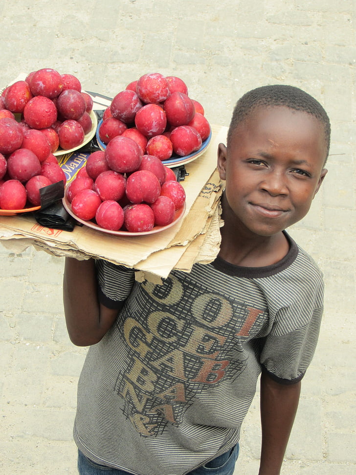 Zambia, selger, gutt, frukt