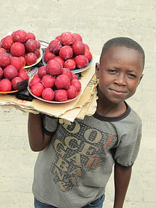 Замбия, продавач, Момче, плодове