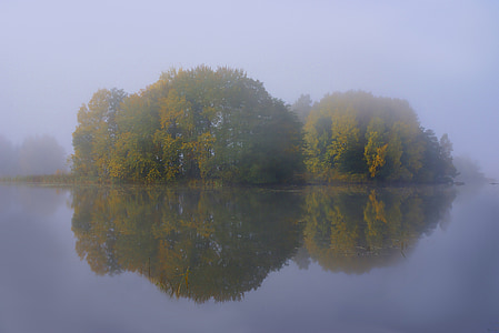 dlouhé šíje, rezervovat, voda, podzim, Švédsko, mlha, zrcadlový obraz