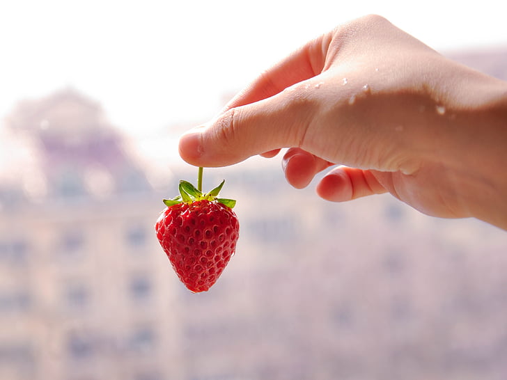 strawberry, hand, fruit, food, freshness, red, ripe