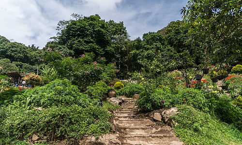 chiang mai, thailand, asia, garden, flowers, pathway, tribal