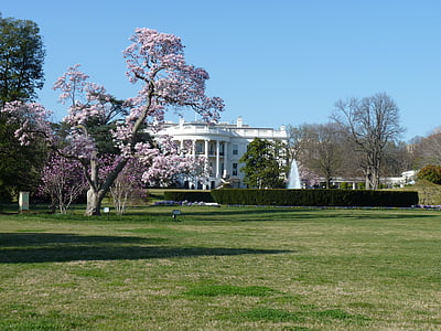 Bela hiša, Washington dc, politiki, vlada, Združene države Amerike, Washington, ZDA