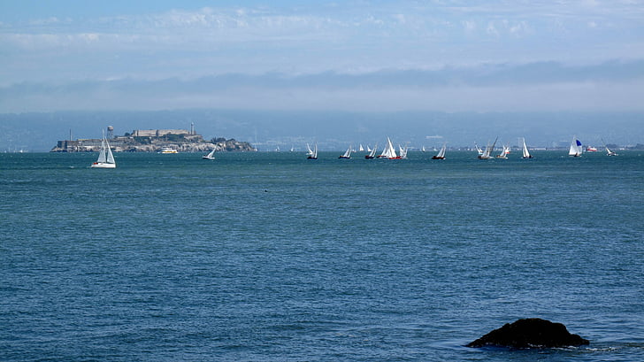 San francisco, Bay, Alcatraz, turisme, vartegn, vand, Rock