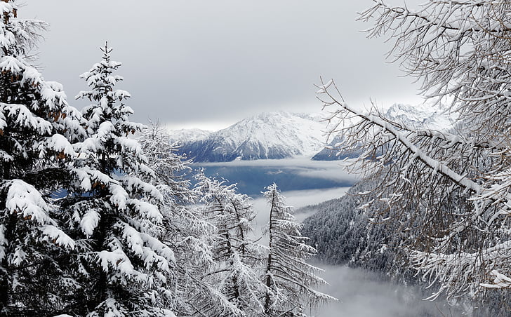 musim dingin, salju, kabut, hutan, pemandangan, pegunungan, tyrol Selatan