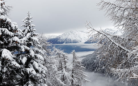 zimowe, śnieg, mgła, lasu, krajobraz, góry, południowy tyrol