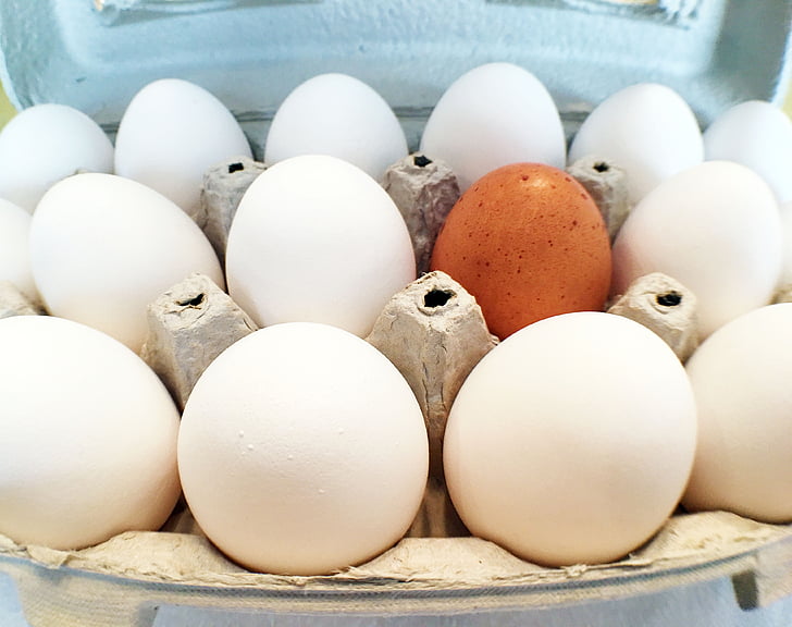 eggs, alone, crowd, egg box, food, animal Egg, farm