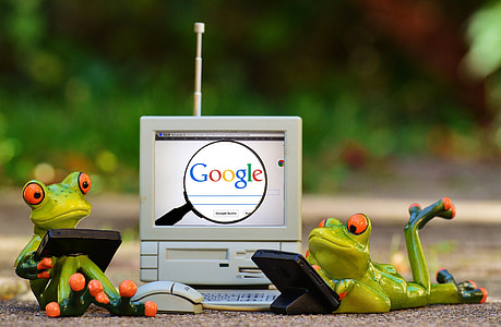 žaby, počítač, Google, Hľadať, laptop, smiešny, milý