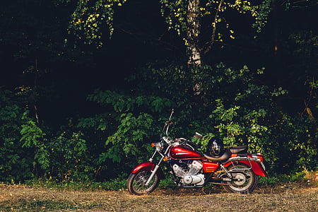 红色, 白色, 旅游, 摩托车, 棕色, 草, 白天