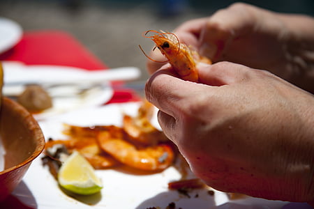 comer, camarão, delicadeza, comida, caranguejos, Mediterrâneo, fornecedor de mantimentos