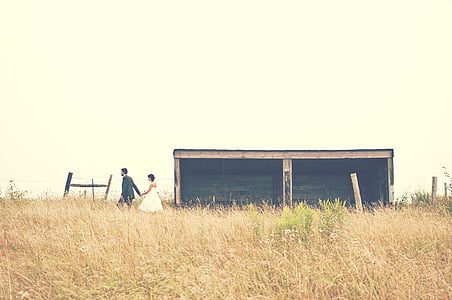 campagne, couple, domaine, herbe, amour, homme, Meadow
