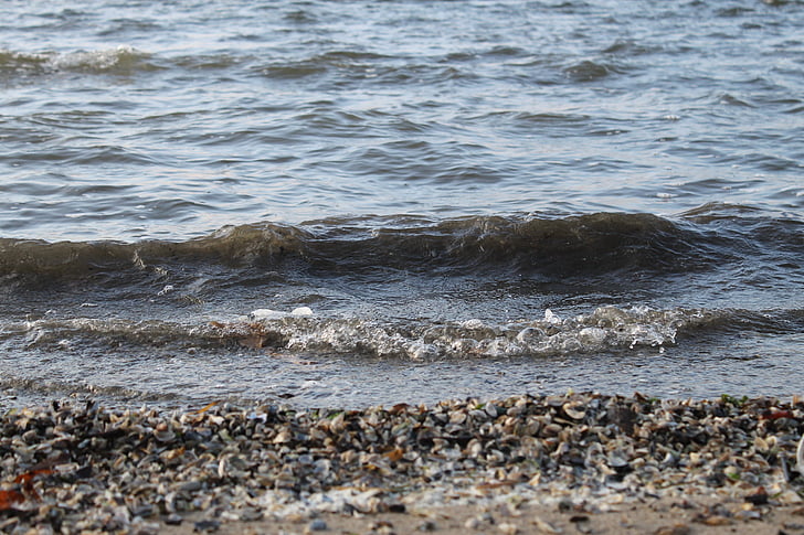 ona, l'aigua, platja, sorra, riu, pedres, vacances