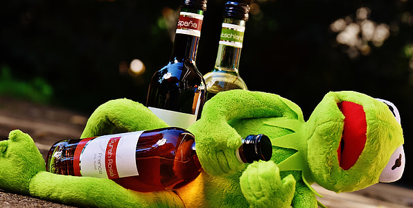 克米特, 青蛙, 葡萄酒, 饮料, 酒精, 醉酒, 休息