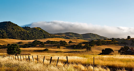 Kalifornijos, kalnai, kraštovaizdžio, vaizdingas, ūkio, ferma, šalies