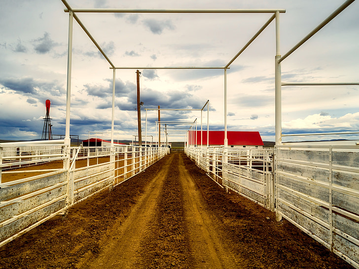 wyoming, corrals, structure, sunset, dusk, dirt, farm