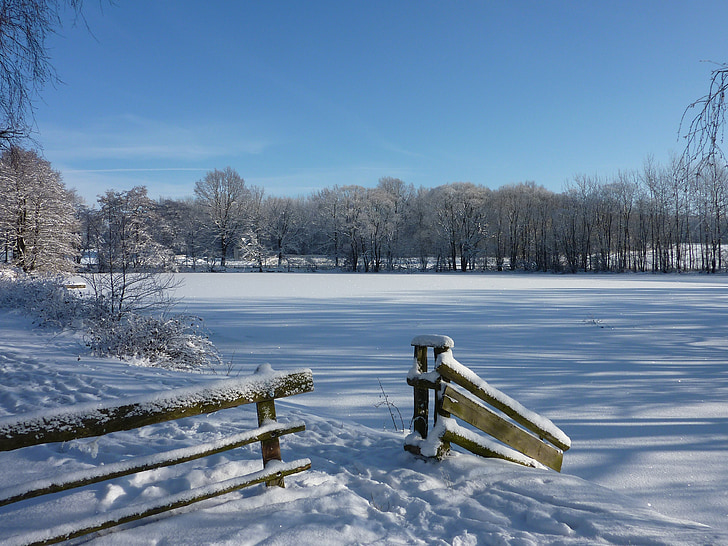 winter, landscape, pond, snow, ice, trees, fence away
