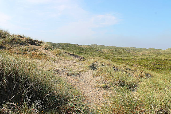 dunes, danès, Dinamarca, l'estiu, sol, natural, vacances