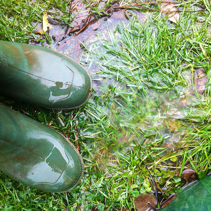 botas de goma, lluvia, otoño, botas, húmedo, hacia fuera, naturaleza