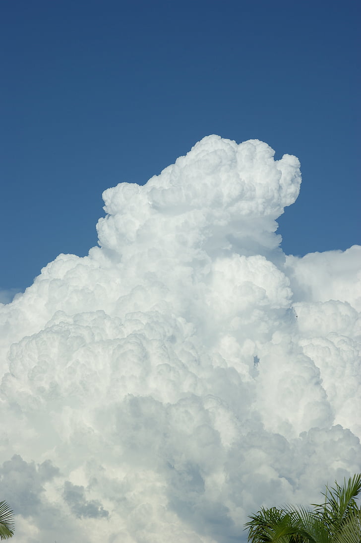 облак, thunderhead, пухкави, голям, бяло, дъждовен облак, буря