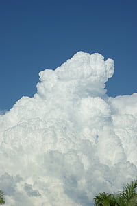 núvol, cumulonimbus, suau i esponjosa, gran, blanc, cumulo nimbus, tempesta