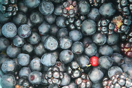 fruit, berries, jagoda, blueberries, blackberries, mature, summer