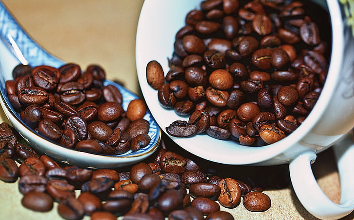 καφέ, κόκκοι καφέ, κόκκους καφέ, Αλεσμένος καφές, η ποικιλία του καφέ, Arabica, Robusta