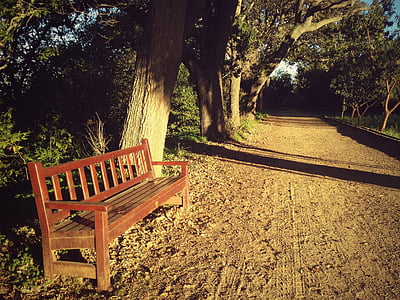 calm, bank, meditation, seat, soledad, nature, bench