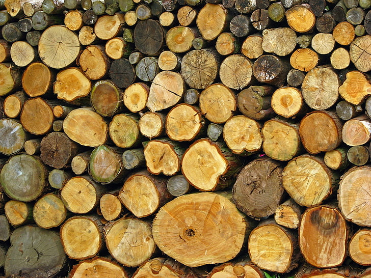 Log, logs, bunke, stak, træ, træ, close-up